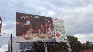 Iguazu brasilian side 155