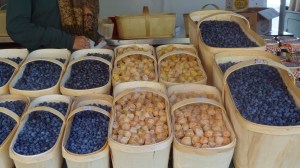 ah ces bleuets du marché Jean Talon!