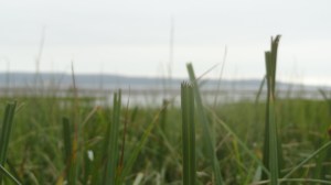 A la Baie Saint-Paul