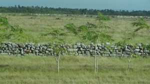 joli muret en route pour cienfuegos