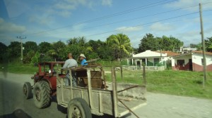paysage cubain avec tracteur