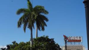 propagande et palmier