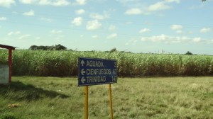 signpost pour cienfuegos et trinidad avec cannes à sucre
