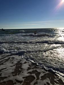 10671344_10152477698252385_8106754960274649870_n