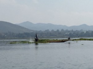 01c57a7dde581f540ff54d94937b4aa9931def6723