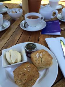 11707481_10152864758702385_2644014733389015548_n