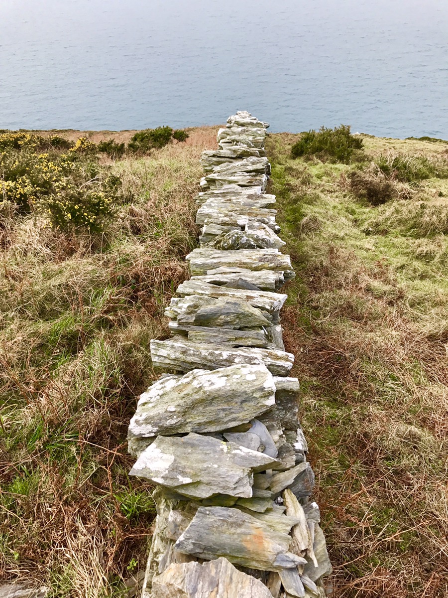 Les primes errent en&nbsp;France