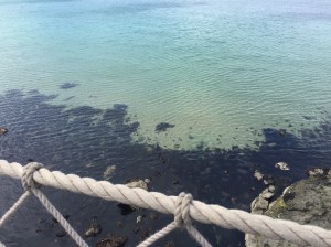Yes, I took the photo on the Carrick rope bridge...had to! Spectacular!