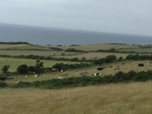 merveilleux paysages de l'ile de Man, on ne s'en lasse pas!
