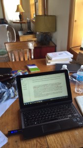 my main occupation for 3 weeks!