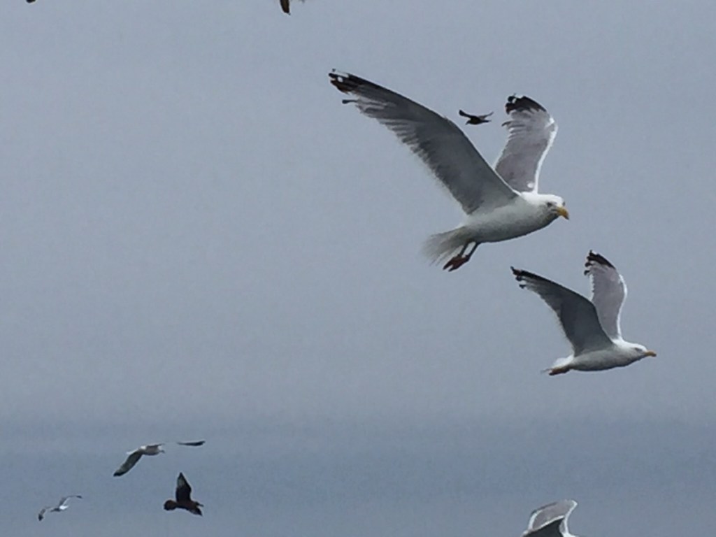 Republicans created Donald Trump, their albatross, by Renford&nbsp;Reese