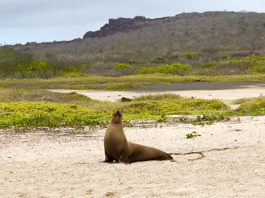 Starting the New Year under the sign of&nbsp;environment