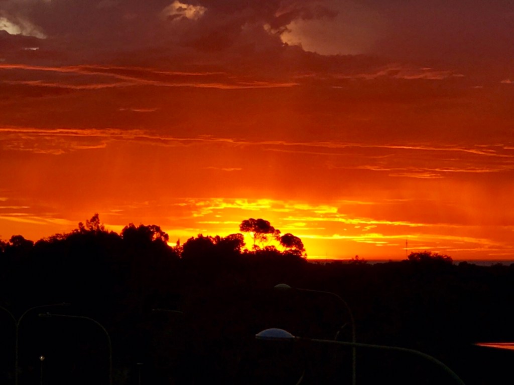 À la Recherche des Aborigènes(18):  une capitale culturelle (Hobart-Adélaïde )