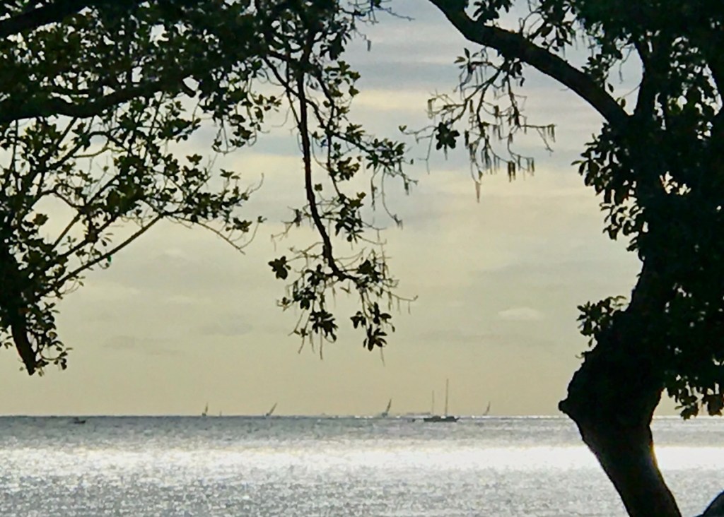 À la Recherche des Kanaks (26): une introduction conclusive sur 50 nuances de bleu et de vert (Hanga Roa-Auckland-Nouméa)