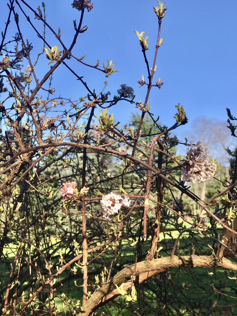 Retour chez les Helvètes 28): Pacifiée par le Pacifique&nbsp;(Paris-Genève)