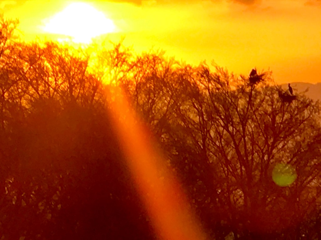 Chroniques Covid Chronicles Day&nbsp;16