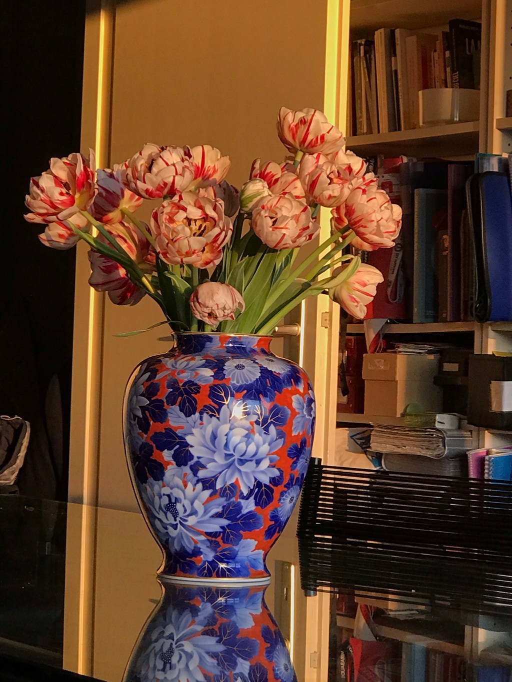 Chroniques Covid Chronicles Day&nbsp;29