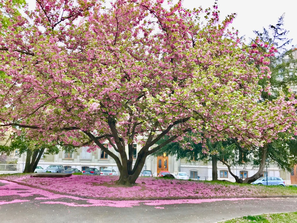 Chroniques Covid Chronicles Day&nbsp;33