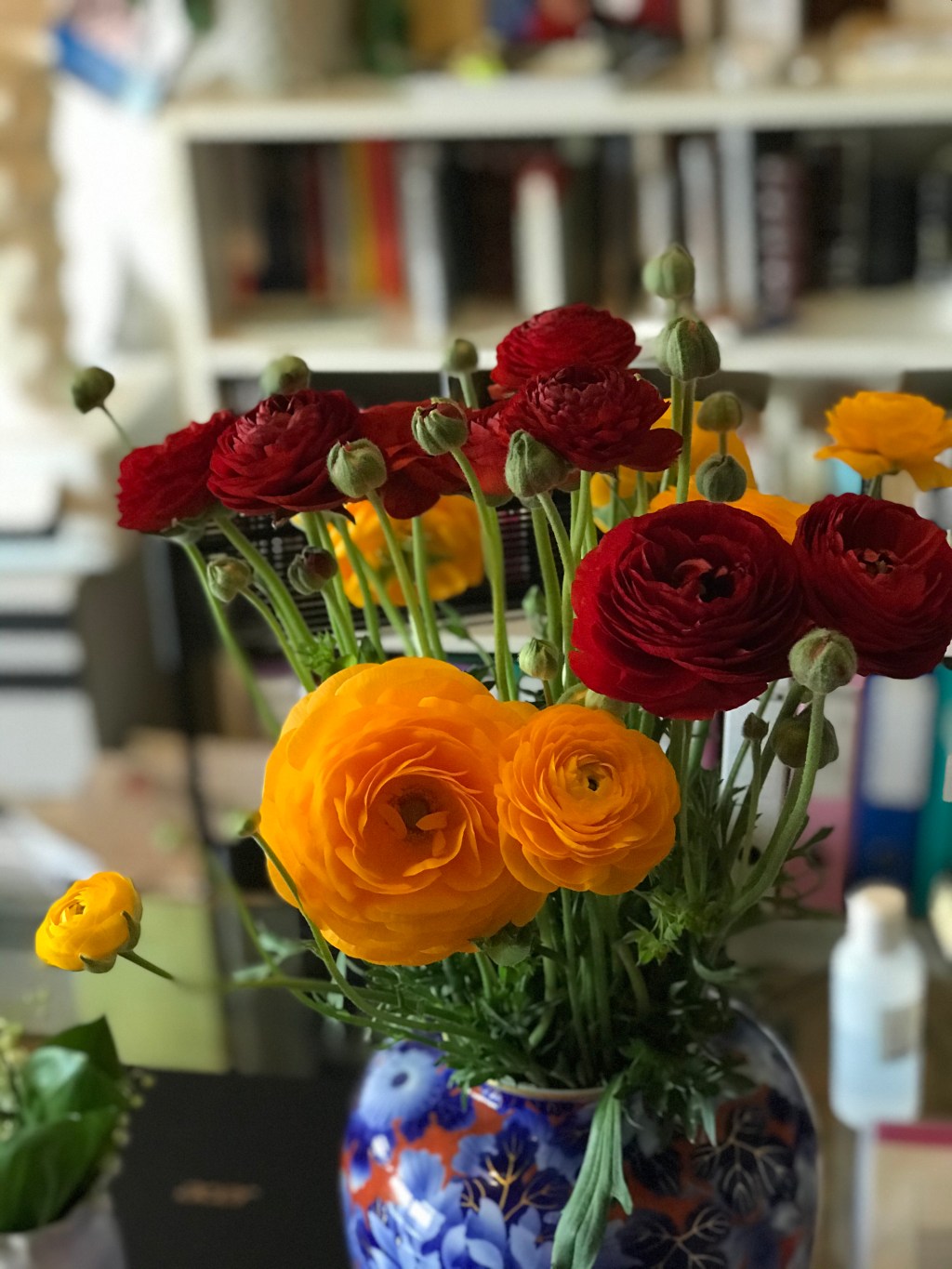 Chroniques Covid Chronicles Day&nbsp;45