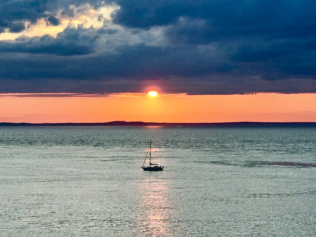 Chroniques Covid Chronicles Day&nbsp;25