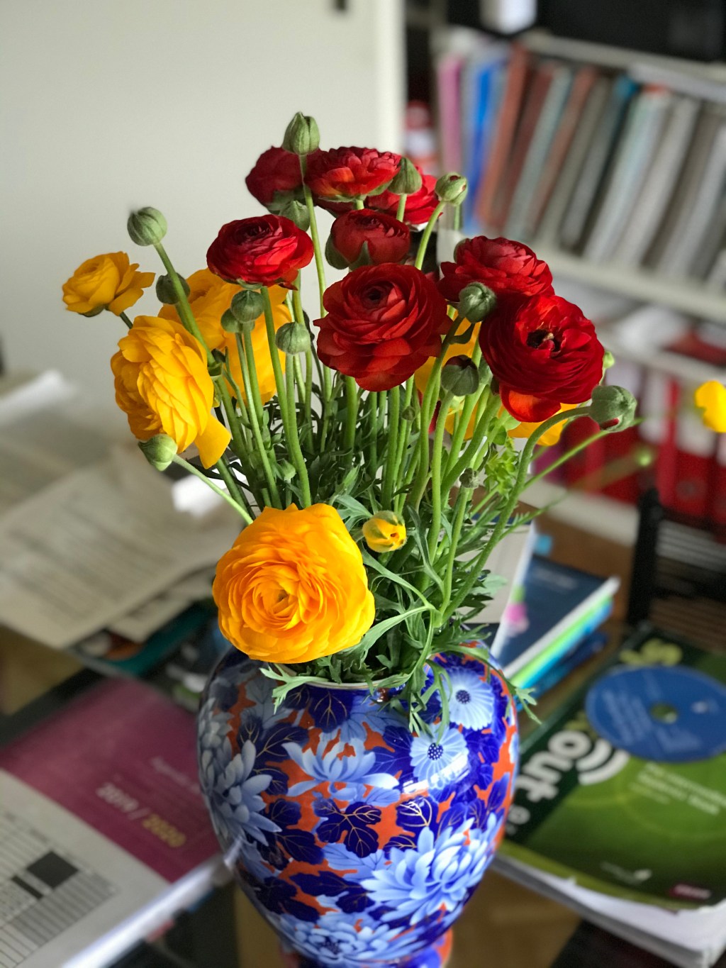 Chroniques Covid Chronicles Day&nbsp;52