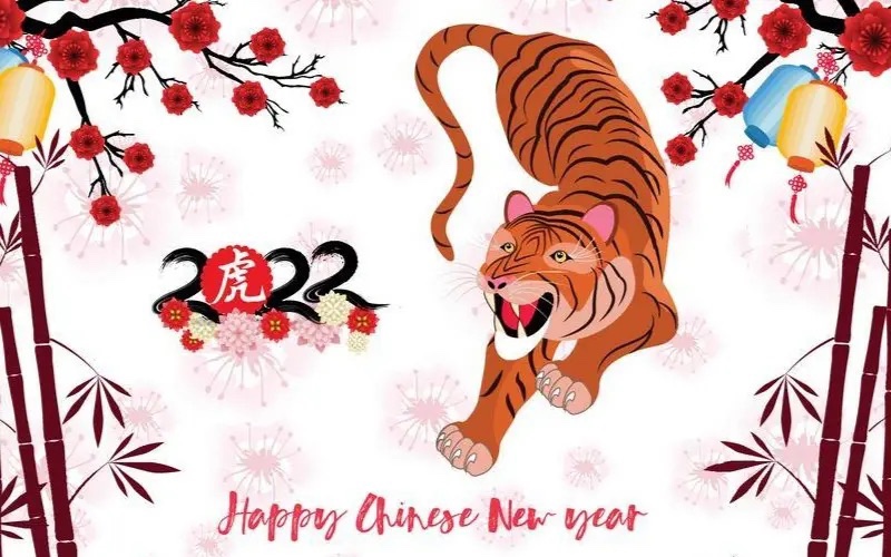 The Year of the&nbsp;Tiger